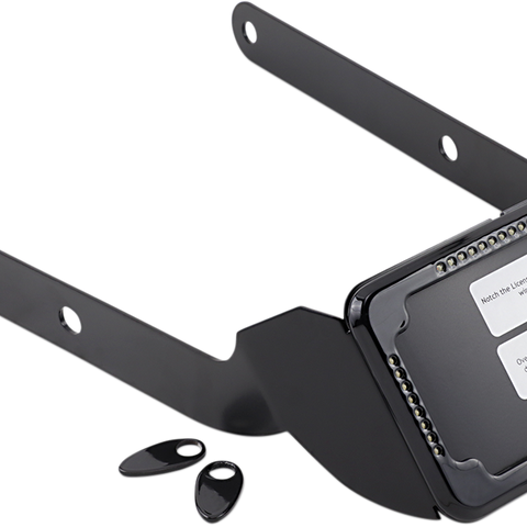 CYCLE VISIONS LP Plate Frame & Mount with Signals - FLSL - Black Curved License Plate Frame and Mount with License Plate Light - Team Dream Rides