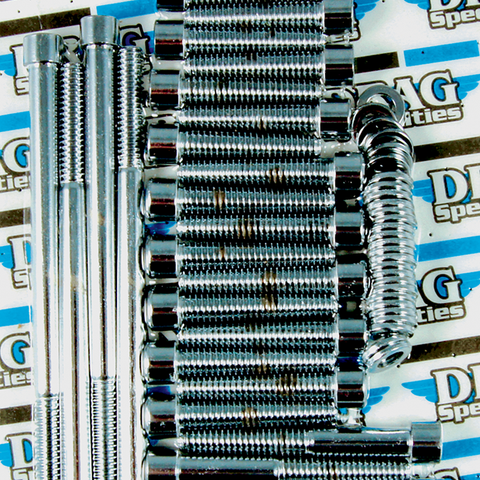 DRAG SPECIALTIES Bolt Kit Transmission Smooth 07-17ST Bolt Set - Team Dream Rides