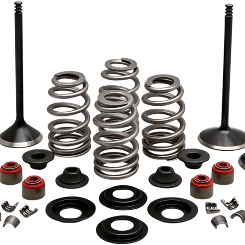 KIBBLEWHITE Complete Valve Kit - Twin Cam Engine Kit - Team Dream Rides