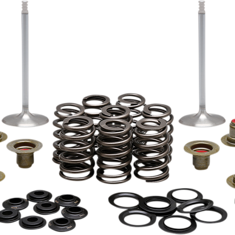 KIBBLEWHITE Complete Valve Kit - M8 Engine Kit - Team Dream Rides