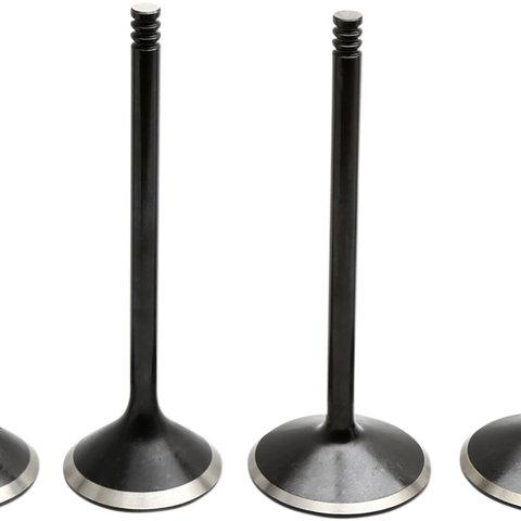 KIBBLEWHITE Valve Kit - Twin Cam Engine Valve Kit - Team Dream Rides