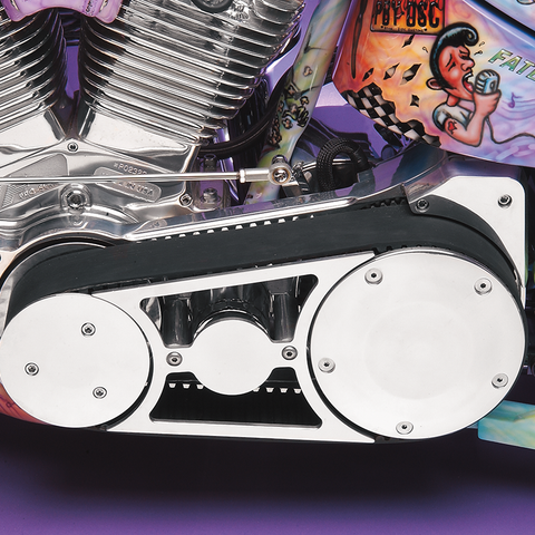 BELT DRIVES LTD. Monster Belt Drive with Side Guard - 3/8