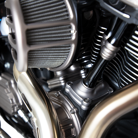 ARLEN NESS Lifter Block - Titanium 10 Gauge Lifter Tappet Block Cover - Team Dream Rides