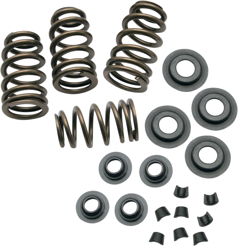 S&S CYCLE Spring Kit - .650" Sidewinder® .650" Valve Spring Kit - Team Dream Rides