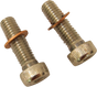 DRAG SPECIALTIES Screws with/Washers Damper Tube Fork Tube Damper Mount Kit - Team Dream Rides