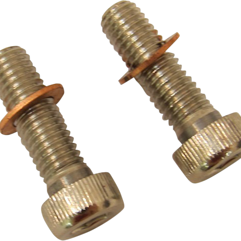 DRAG SPECIALTIES Screws with/Washers Damper Tube Fork Tube Damper Mount Kit - Team Dream Rides