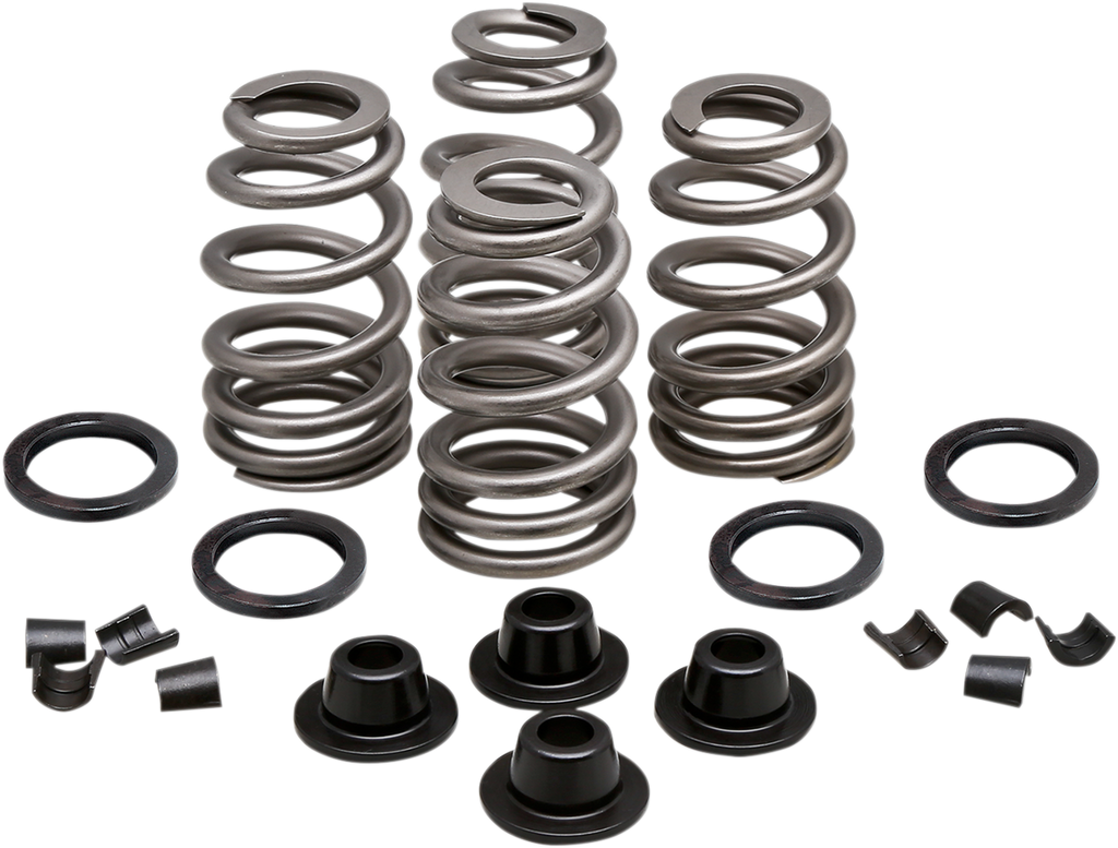 KIBBLEWHITE Spring Kit - .660" - Evolution/Twin Cam Valve Spring Kit - Team Dream Rides