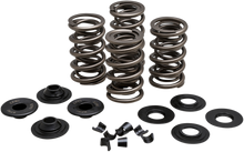 Load image into Gallery viewer, KIBBLEWHITE Spring Kit - .650&quot; - Evolution/Twin Cam Valve Spring Kit - Team Dream Rides