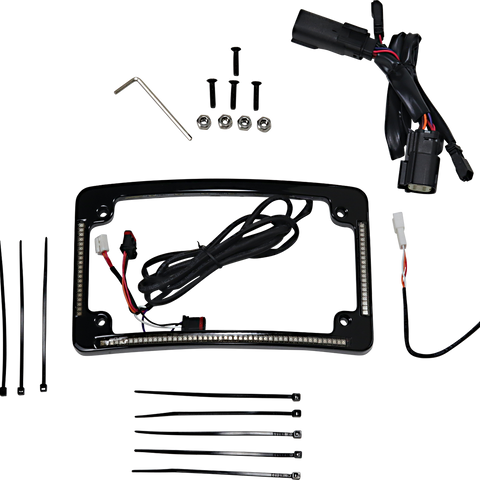CUSTOM DYNAMICS All in One License Plate Frame - Black Plug & Play Run/Brake/Turn LED Radius License Plate Frame - Team Dream Rides