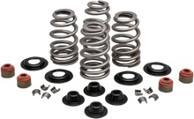 Load image into Gallery viewer, KIBBLEWHITE Spring Kit - .610&quot; - Twin Cam Valve Spring Kit - Team Dream Rides