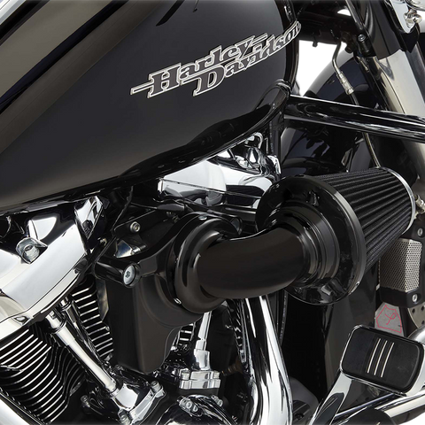 ARLEN NESS Air Cleaner Monster Black Monster Sucker Air Cleaner Kit - Team Dream Rides