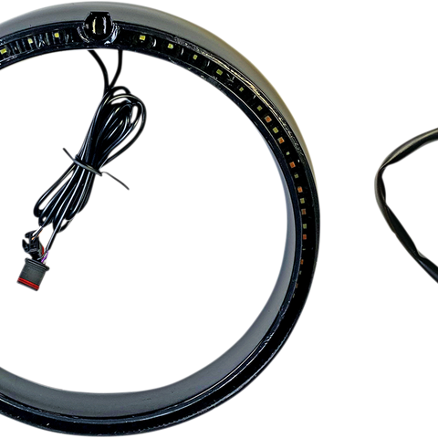 CUSTOM DYNAMICS Standard Trim Ring - Black ProBEAM® Turn Signal Ring Trim - Team Dream Rides