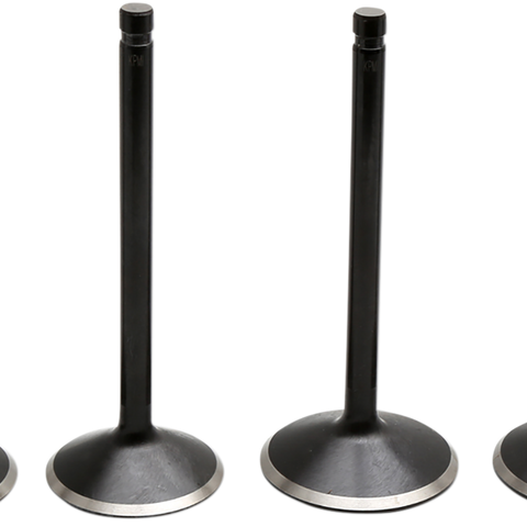 KIBBLEWHITE Valve Kit - Twin Cam Engine Valve Kit - Team Dream Rides