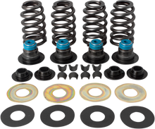 Load image into Gallery viewer, S&amp;S CYCLE Springs - .585&quot; - Twin Cam Valve Spring Kit - Team Dream Rides
