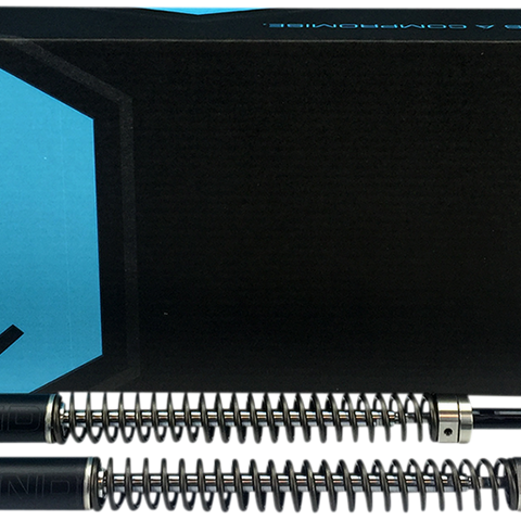 LEGEND SUSPENSION AXEO - Black - 41 mm - '09-'13 Tri-Glide Models AXEO 41 mm Tri-Glide  Front Suspension System - Team Dream Rides