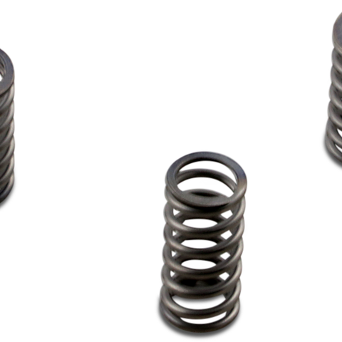 EBC Clutch Springs CSK Series Heavy Duty Clutch Spring Kit - Team Dream Rides