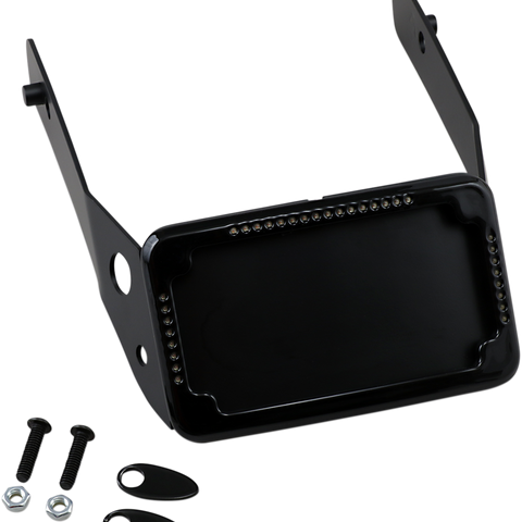 CYCLE VISIONS LP Plate Frame & Mount with Signals - FXDWG - Black Curved License Plate Frame and Mount with License Plate Light - Team Dream Rides