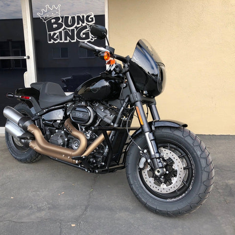 Bung King 2018-2020 Highway Peg 2 Step Crash Bar - Team Dream Rides